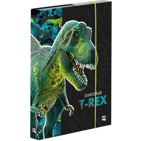 OXYBAG Box na sešity A4 Premium Dinosaurus